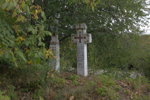 Cruce latină | Vispești