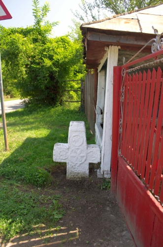 Cruce latină | Tisa