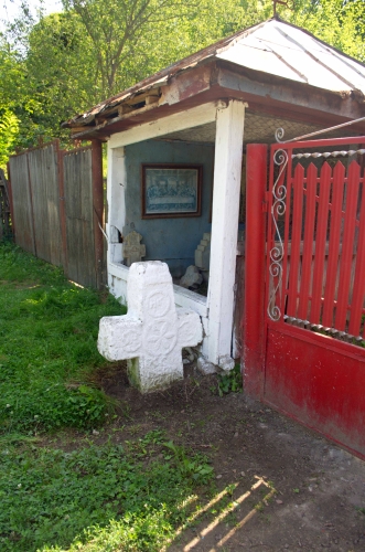 Cruce latină | Tisa