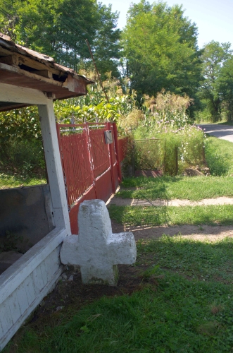 Cruce latină | Tisa