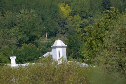 Cruce latină | Tisa
