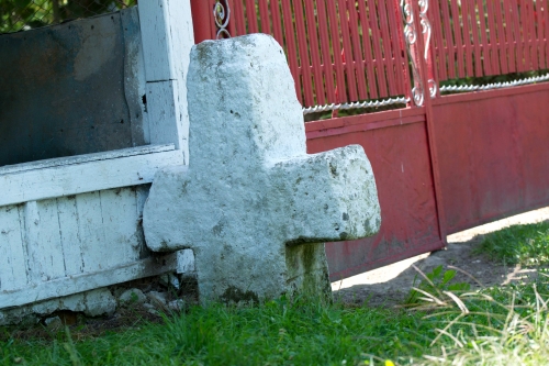 Cruce latină | Tisa