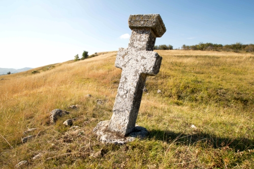 Cruce latină | Jugureni