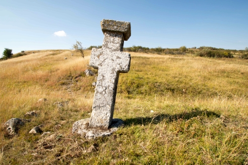 Cruce latină | Jugureni