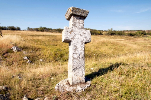 Cruce latină | Jugureni