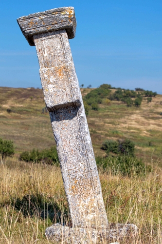 Cruce latină | Jugureni