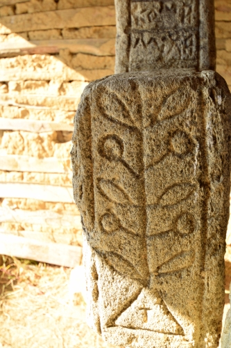 Cruce latină | Jugureni