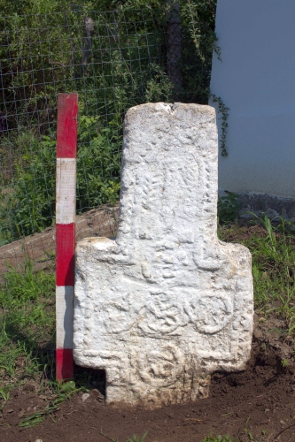 Cruce latină | Ghinoaica