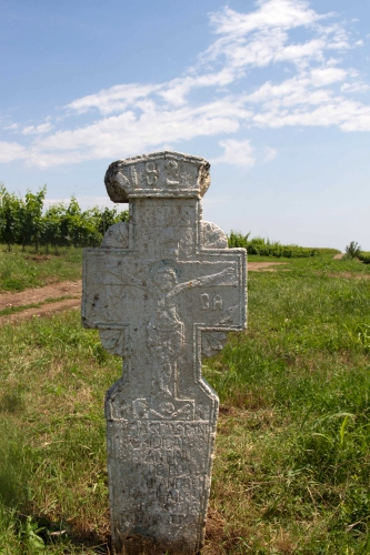 Cruce celtică | Ghinoaica