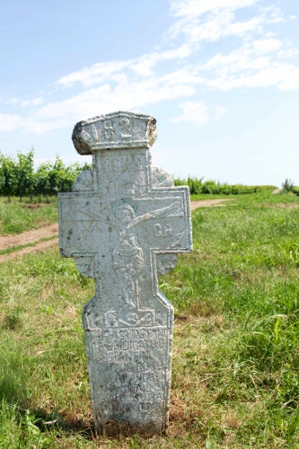 Cruce celtică | Ghinoaica