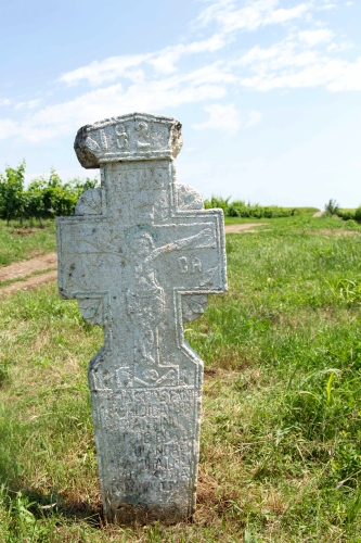 Cruce celtică | Ghinoaica