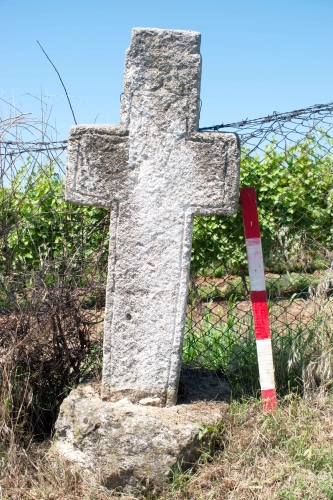 Cruce latină | Gura Vadului