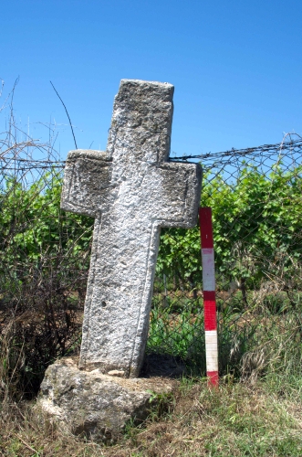 Cruce latină | Gura Vadului