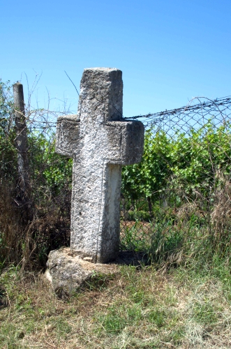 Cruce latină | Gura Vadului