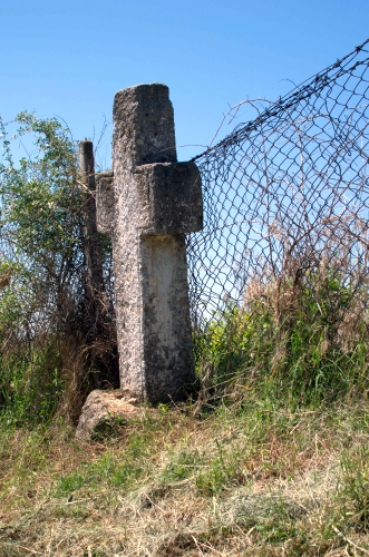 Cruce latină | Gura Vadului