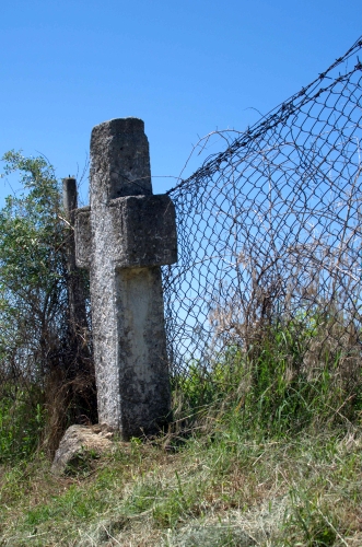 Cruce latină | Gura Vadului