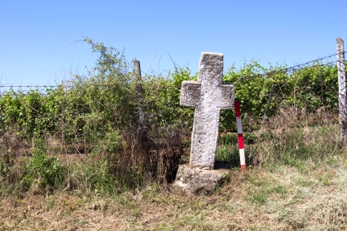 Cruce latină | Gura Vadului