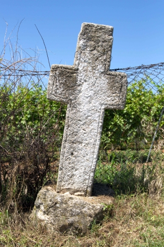 Cruce latină | Gura Vadului