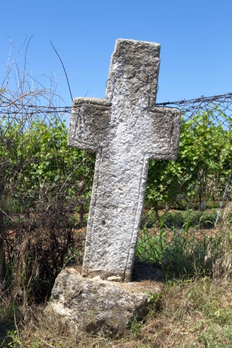 Cruce latină | Gura Vadului